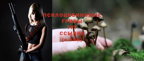 крисы Алексеевка
